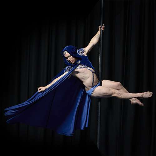 SOULSTease Aerial Pole